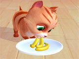 Gameplay of My Cat My Cat gameplay