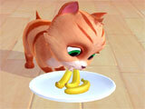 My Cat My Cat