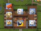 Gameplay of Pet World Pet World gameplay
