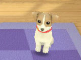 Take Care of Dog Lovely Pets: Dog Town Take Care of Dog Lovely Pets: Dog Town