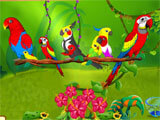 Bird Land Paradise stunning environment