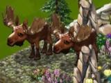 Zoo World 2 Zoo World 2