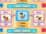 Pet Shop Story: Cross Breeding your Favorite Pets Pet Shop Story: Cross Breeding your Favorite Pets