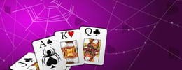 4 Free Spider Solitaire Games to Play on Playmarket thumb