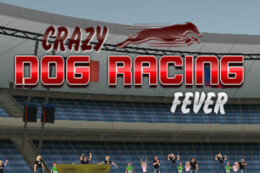 Crazy Dog Racing Game 2020 thumb