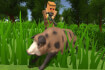 Pixel Hunting.IO thumb