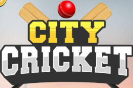 City Cricket thumb