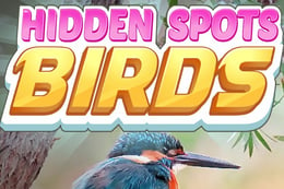 Hidden Spots - Birds thumb