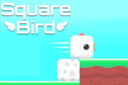 Square Bird thumb