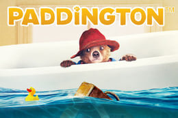 Paddington thumb
