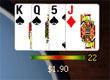 Favorite Type of Poker - Survey Option 2