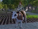 Wurm Online Livestock