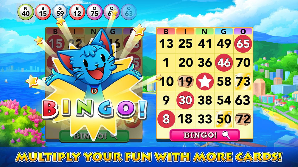 Bingo Blitz - Slots Bingo 4PC