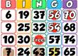 Bingo! World Tour game