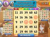 Bingo Cats Bingo Game