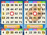 Playing with 3 Bingo Cards in Bingo Win