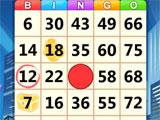 Bingo Win
