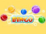 Bingo! in Aqua Bingo Bingo! in Aqua Bingo