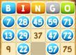 Zodi Bingo Free game