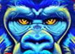 Galaxy Casino game