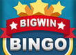 Big Win Bingo game