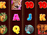 Jungle themed slot machine in Slotagram Slotagram jungle themed slot machine