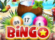 Bingo Tropical Haven game