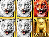 Gameplay of Tiger King Casino Slots Tiger King Casino Slots gameplay