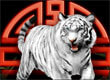 Tiger King Casino Slots game