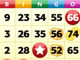 Gameplay of Tropical Beach Bingo World Tropical Beach Bingo World gameplay