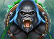 Ape About Slots game