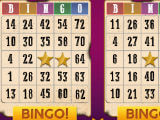 Bingo: Offline Free Bingo Games - Western Theme