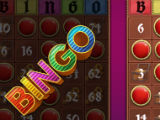 Getting a BINGO in Bingo: Offline Free Bingo Games