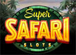 Safari Slots game