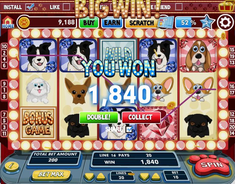 cats and dogs slot machine