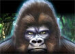 Slots Super Gorilla game