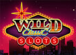 Wild Classic Slots game