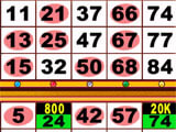 Gameplay of Bingo Tayo Bingo Tayo gameplay