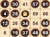 Gameplay for Cheetah Bingo Cheetah Bingo Gameplay