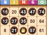 Cheetah Bingo Gameplay Gameplay for Cheetah Bingo