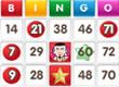 Wild Party Bingo game