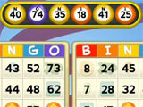 Gameplay of Rainbow Bingo Adventure Rainbow Bingo Adventure gameplay