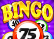 Bingo Craze game