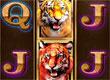 Tiger King Casino game