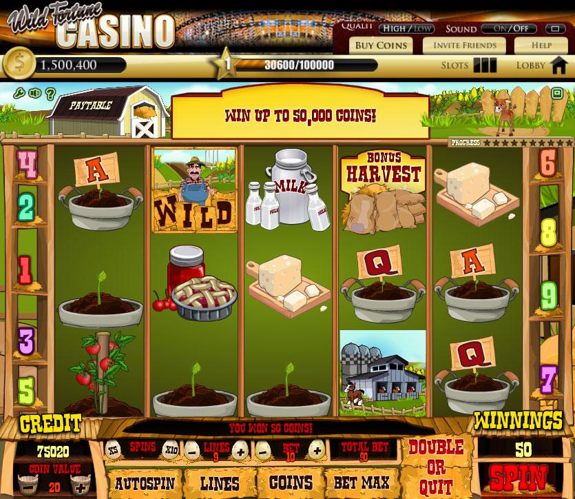 Wild Fortune Casino Review - Slots & Bingo Games
