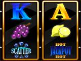 Wild Fortune Casino Wild Fortune Casino