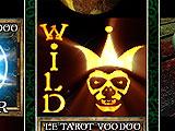 Wild Card in Slots Quest: The Museum Escape Slots Quest: The Museum Escape Wild Card