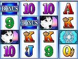 Hot Shot Casino Slots Wild Huskies Themed Slots