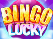 Bingo Lucky game