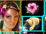 WMS Slots: Quest for the Fountain WMS Slots: Quest for the Fountain